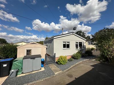 Picture 19